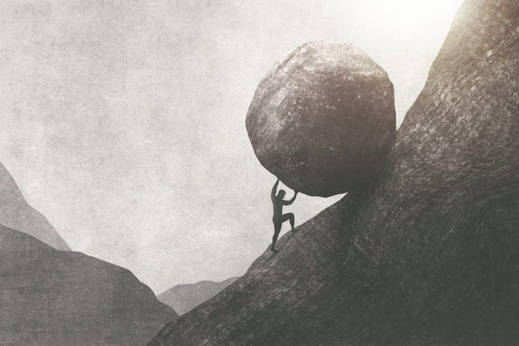 Resilience; Looking back on the last twelve months